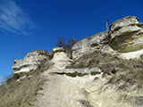 MAdr-szirt